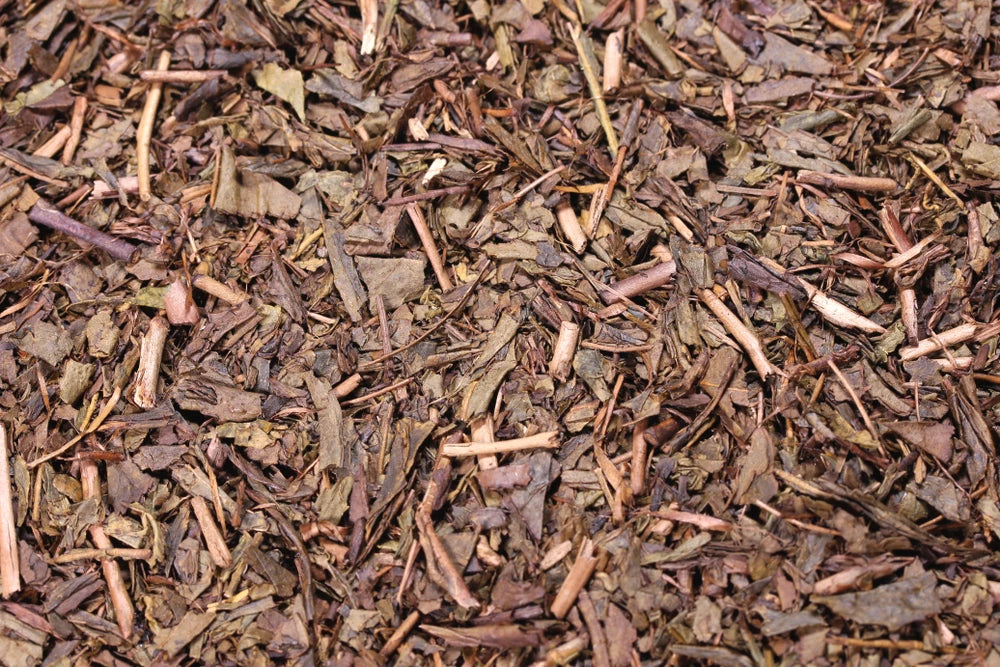 Hojicha