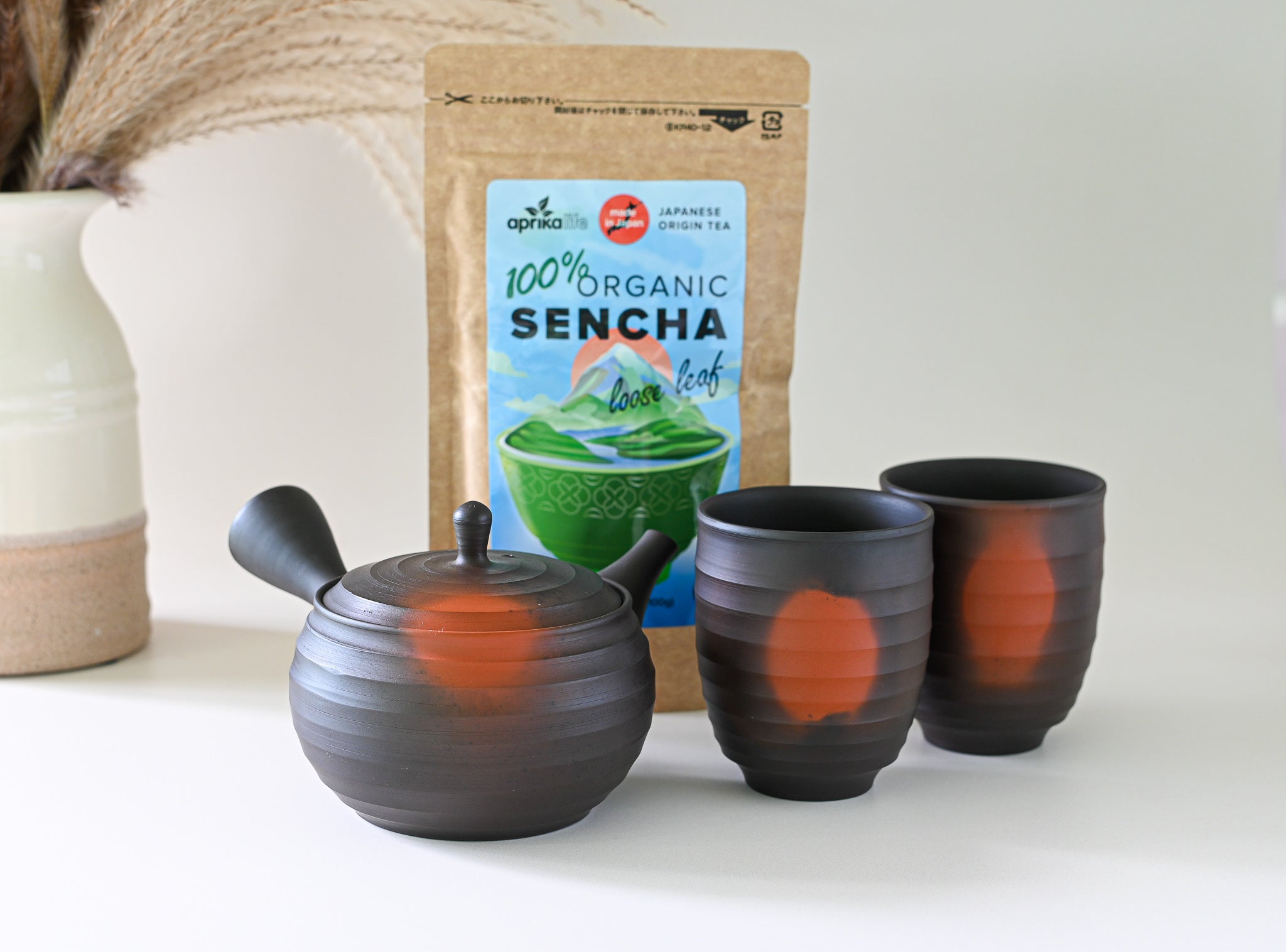 Japanese Green Tea Set - Teapot with Filters (270ml) and Two Cups
