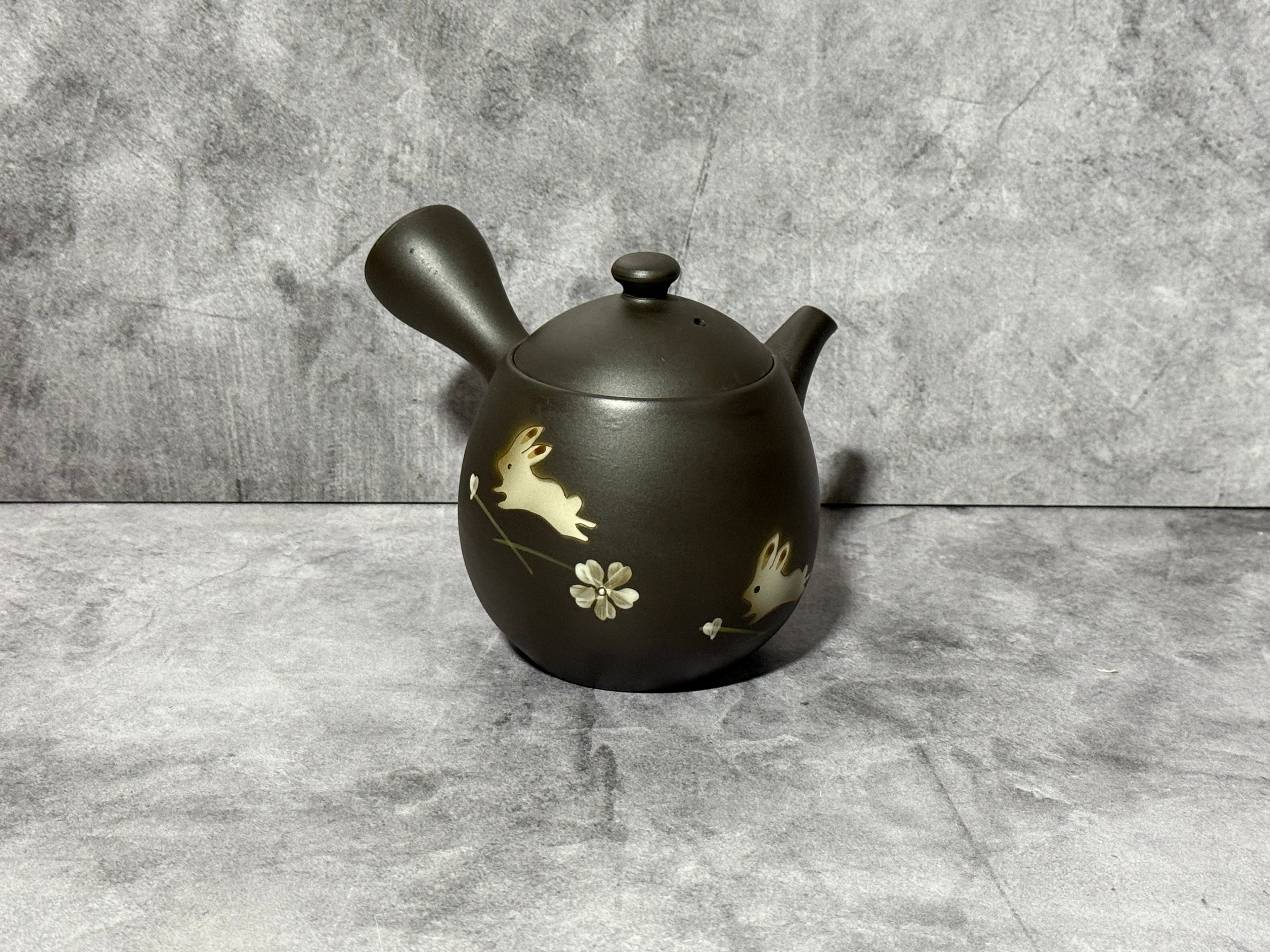 Fusensaku Kuro Usagi Black Tokoname-yaki Kyusu - Japanese Teapot