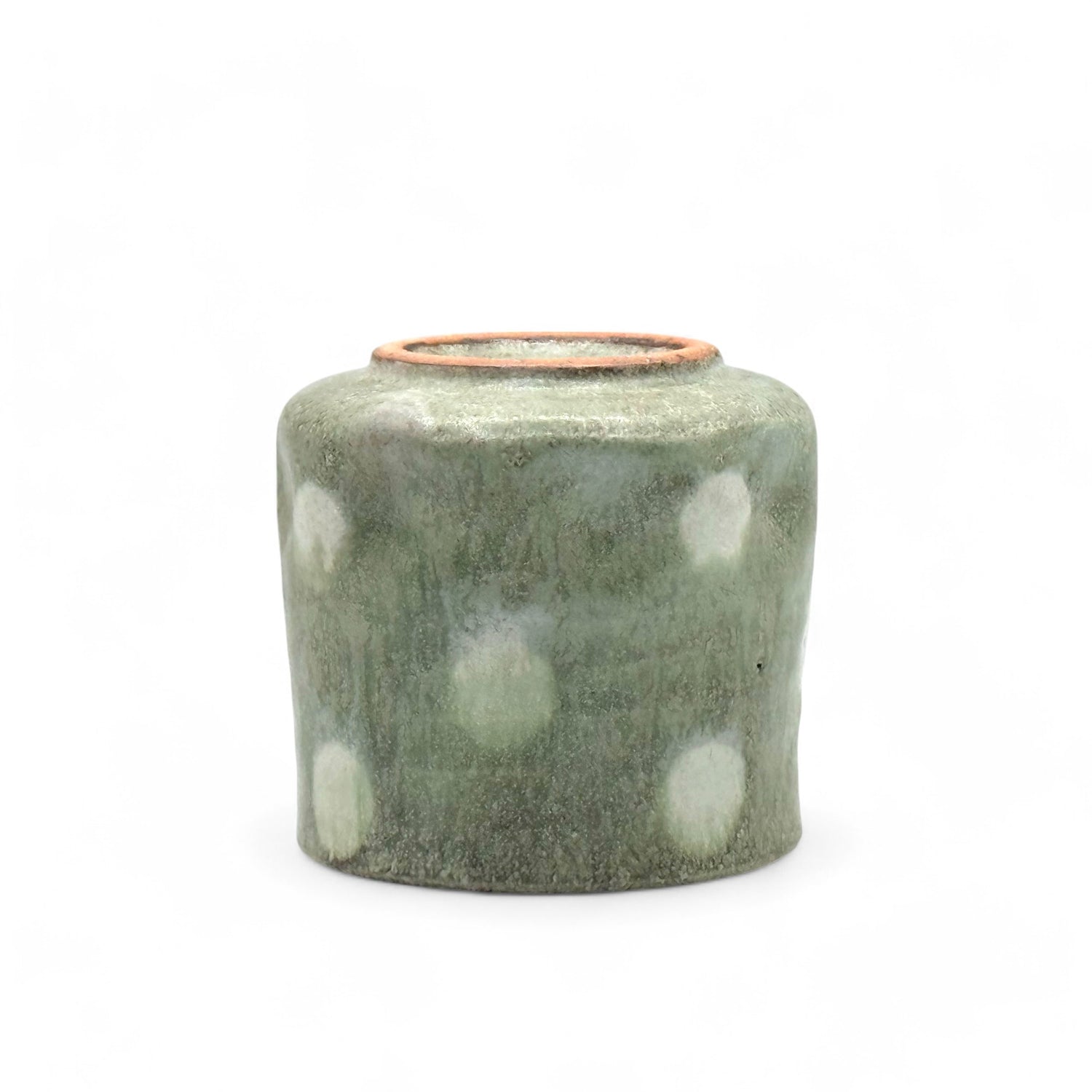 Gin Aya Polka Dot Mino-yaki Yunomi by Kimura - Japanese Teacup