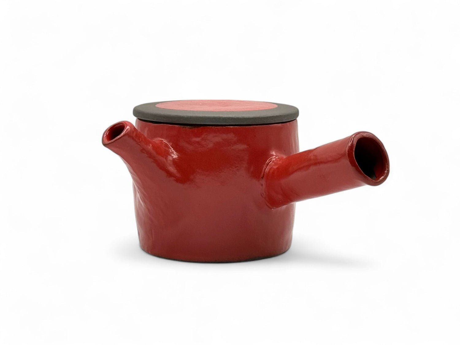 Isshin Clay Red Tokoname-yaki Kyusu - Japanese Teapot