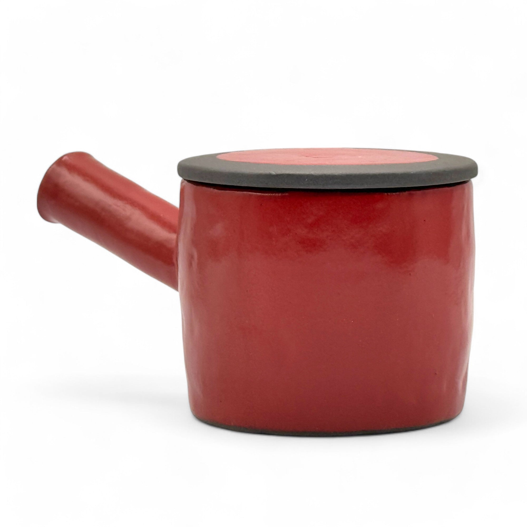 Isshin Clay Red Tokoname-yaki Kyusu - Japanese Teapot