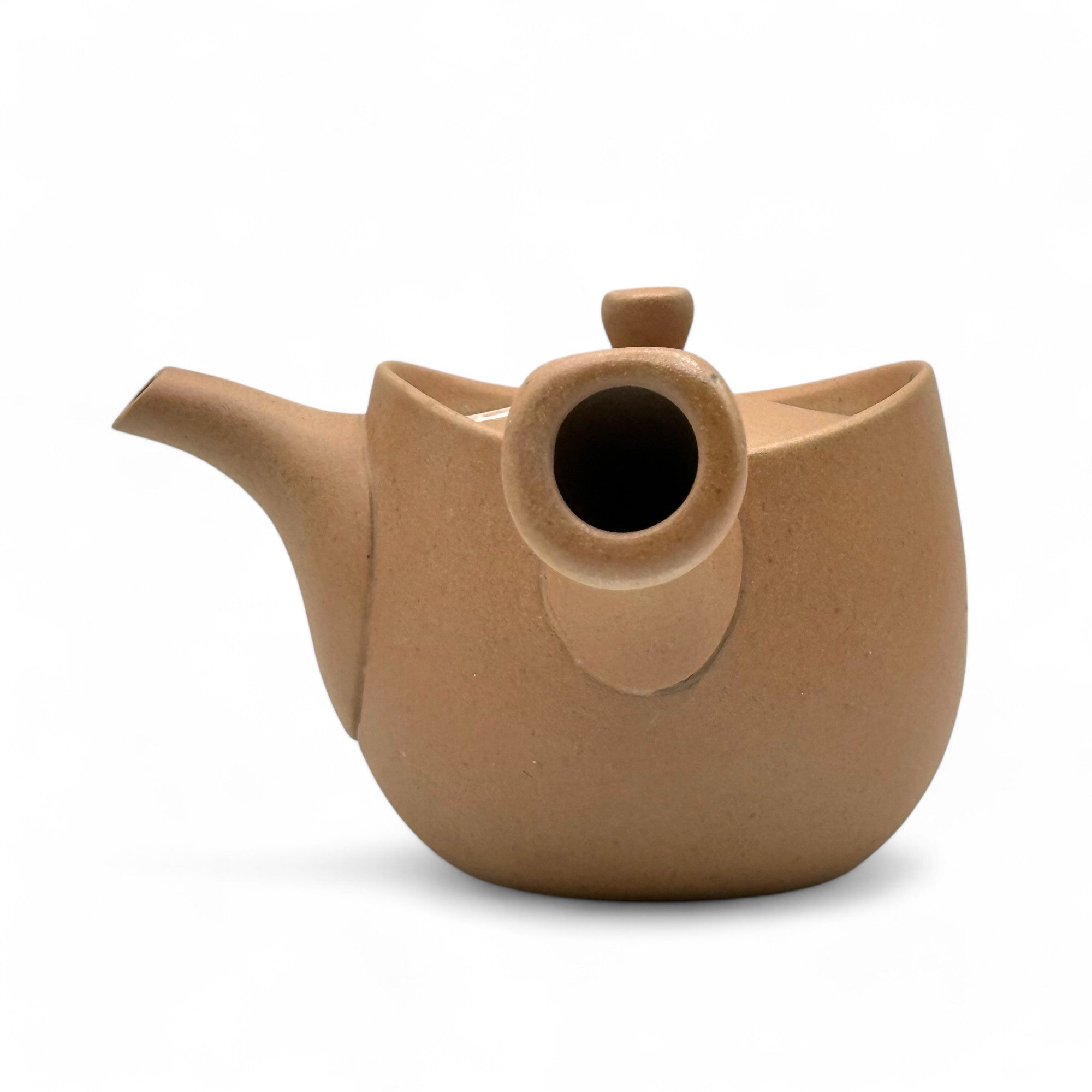 Isshin Shudo Tokoname-yaki Kyusu by Yamashita- Japanese Teapot