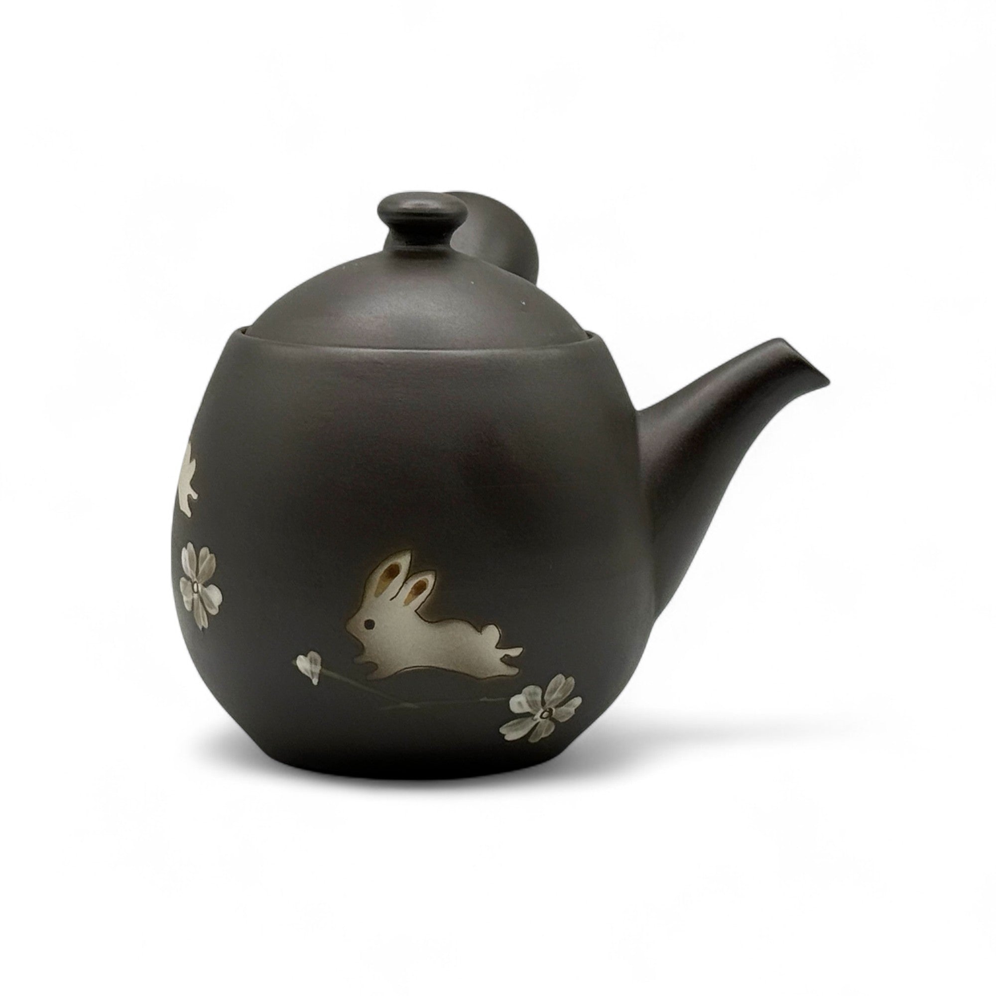 Fusensaku Kuro Usagi Black Tokoname-yaki Kyusu - Japanese Teapot