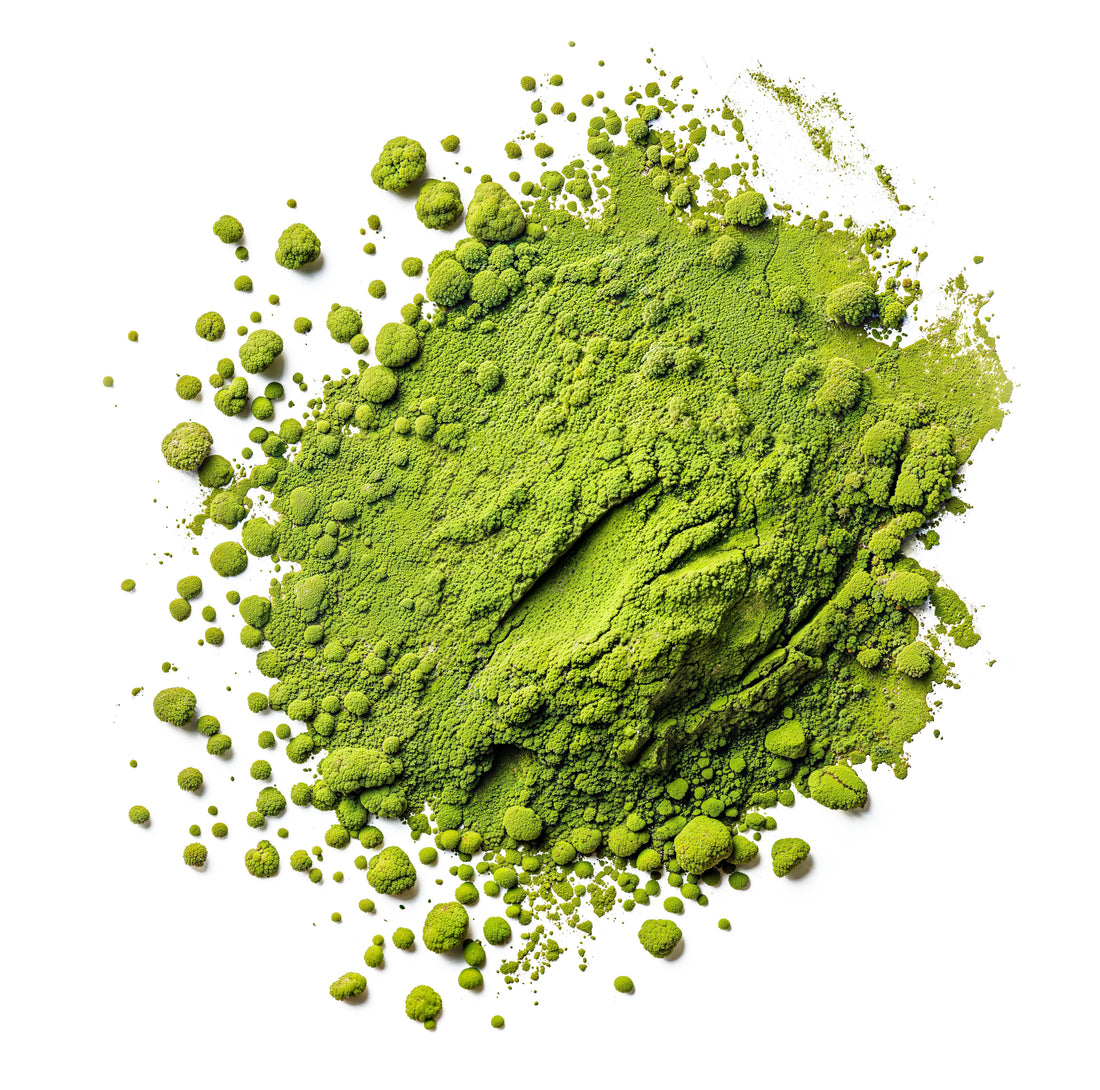 Chakouan Ureshino Kamairi Matcha