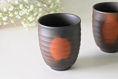 Japanese Green Tea Set - Teapot with Filters (270ml) and Two Cups