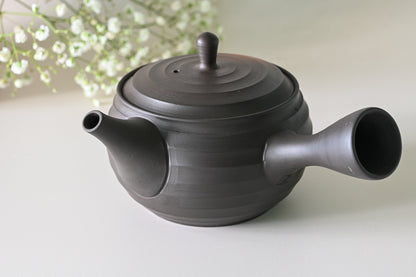 Japanese Green Tea Set - Teapot with Filters (270ml) and Two Cups