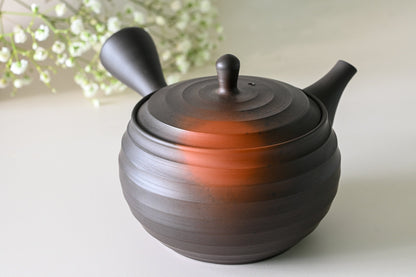 Japanese Green Tea Set - Teapot with Filters (270ml) and Two Cups