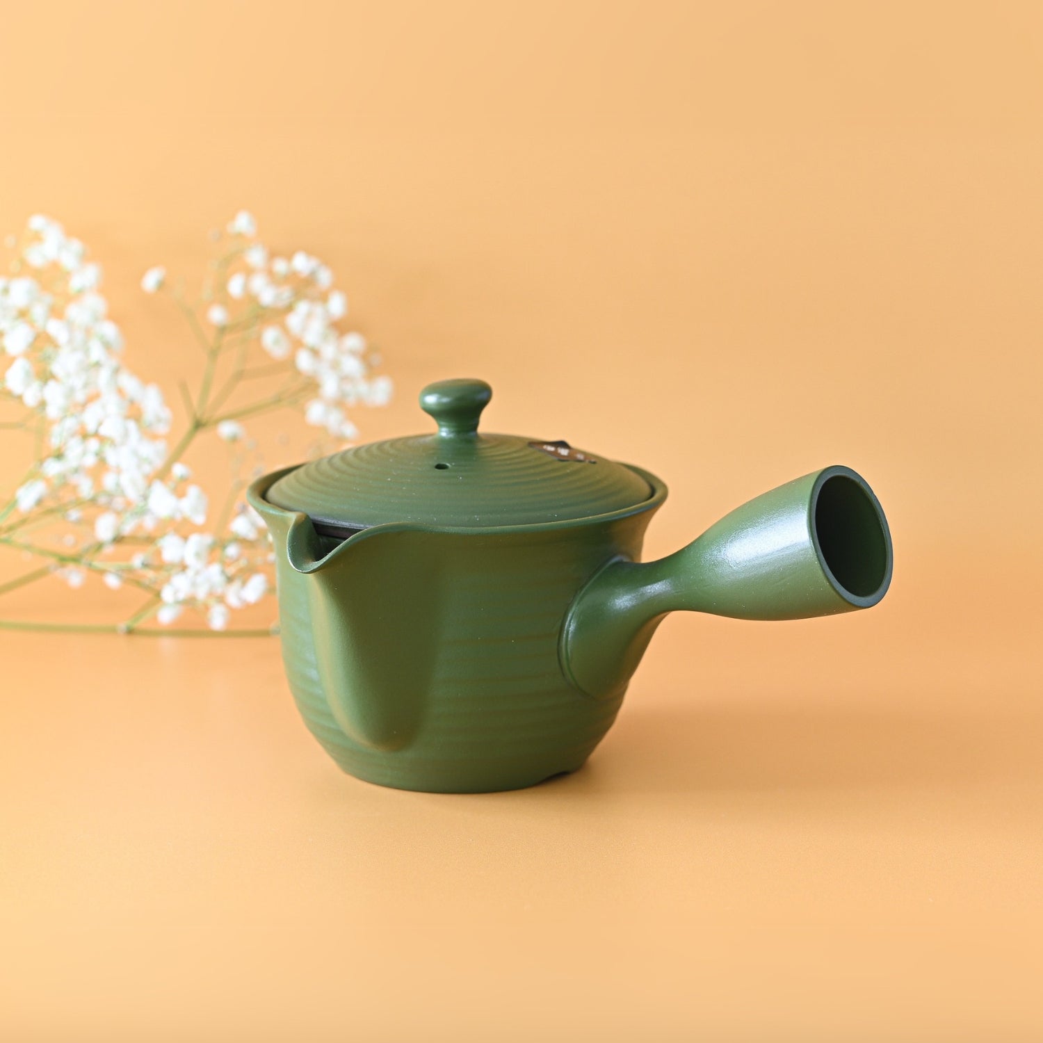 Handcrafted Japanese Kyusu Teapot with Filters (380ml)