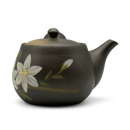 Kaiga Hana Black Tokoname-yaki Kyusu - Japanese Teapot