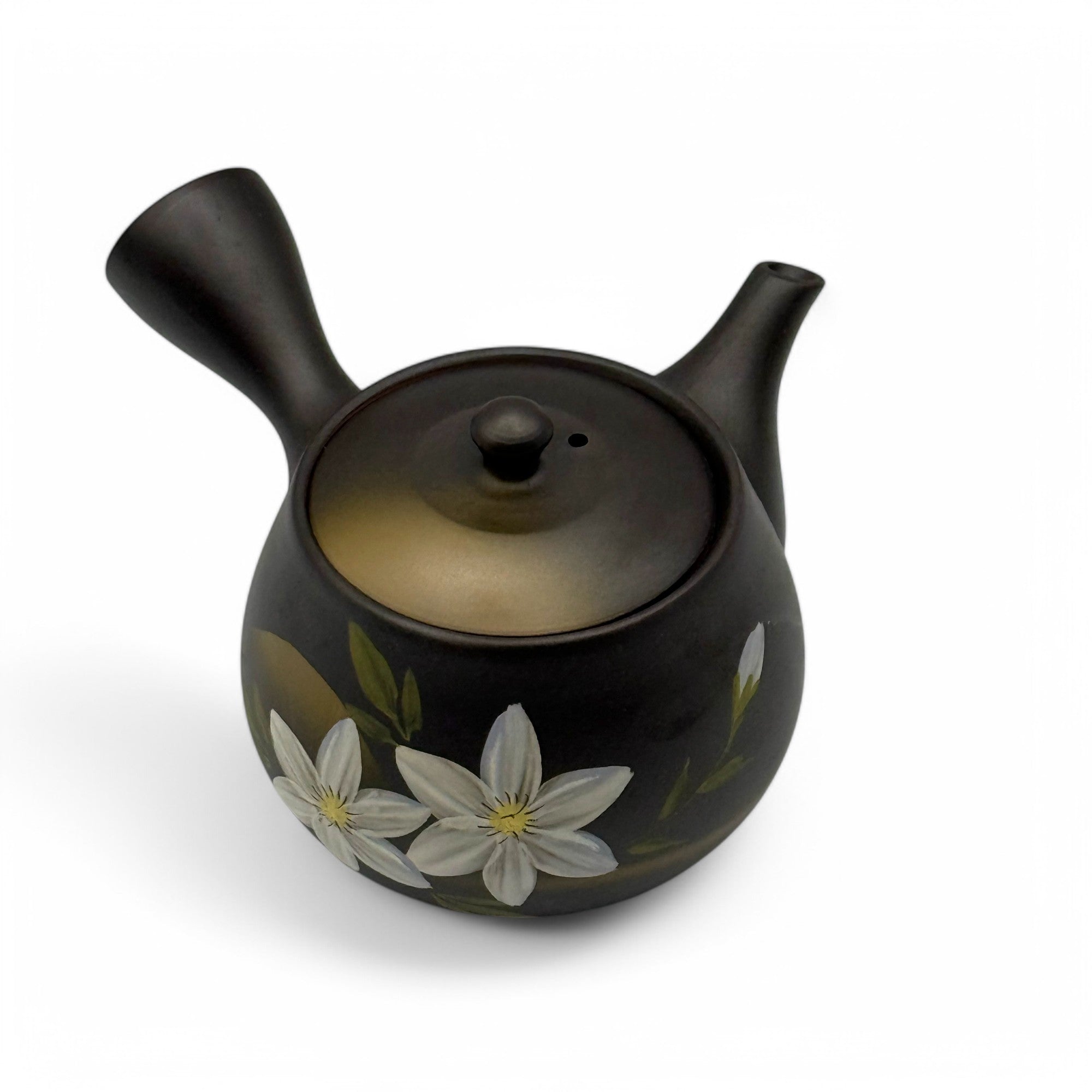 Kaiga Hana Black Tokoname-yaki Kyusu - Japanese Teapot