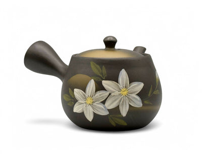 Kaiga Hana Black Tokoname-yaki Kyusu - Japanese Teapot