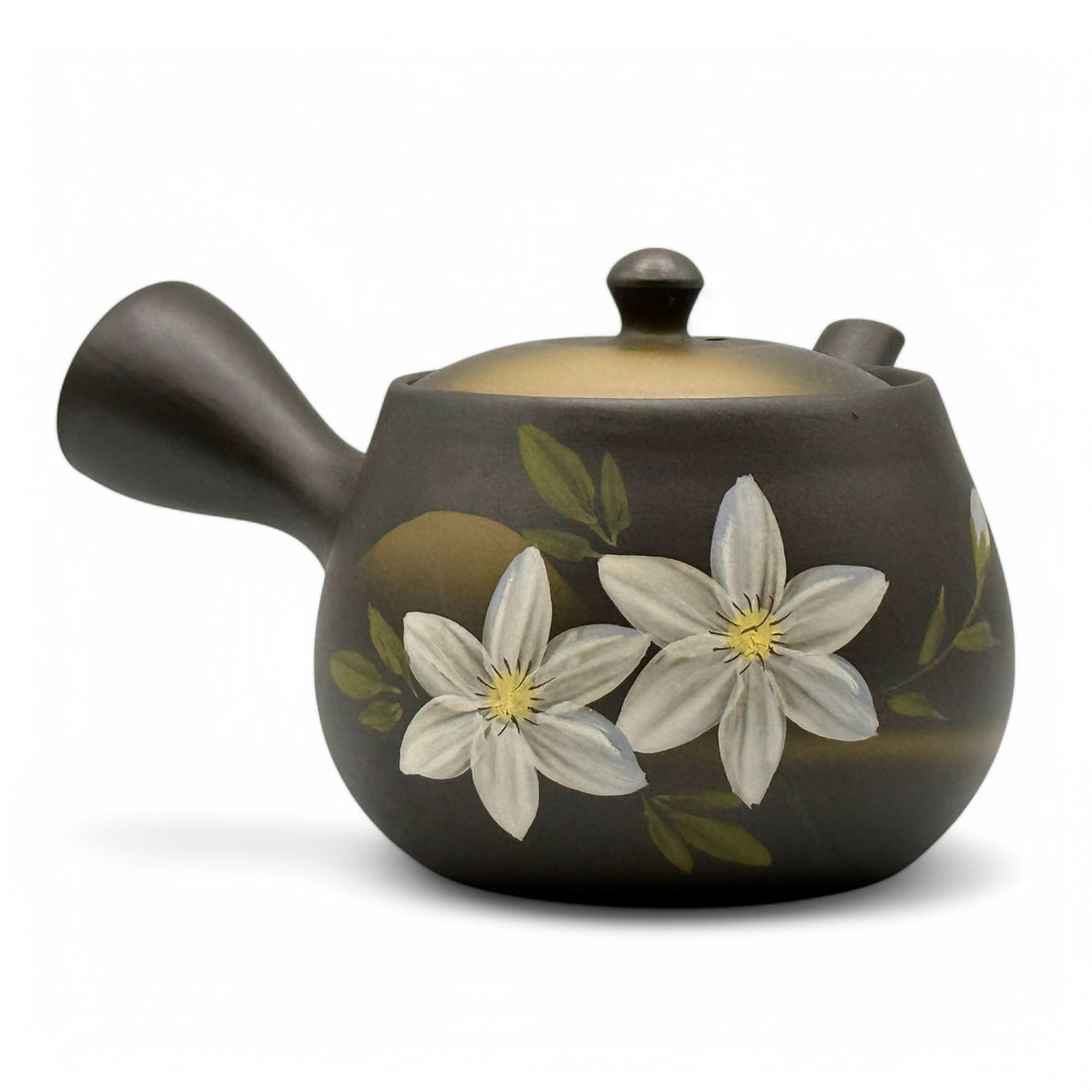 Kaiga Hana Black Tokoname-yaki Kyusu - Japanese Teapot