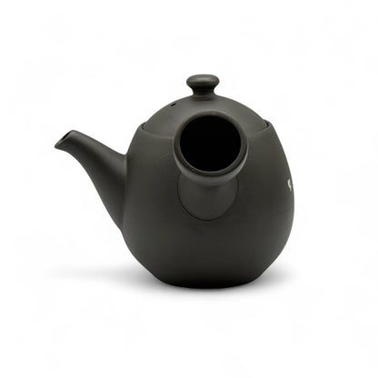 Fusensaku Kuro Usagi Black Tokoname-yaki Kyusu - Japanese Teapot